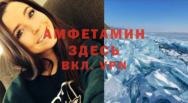 трава Пересвет