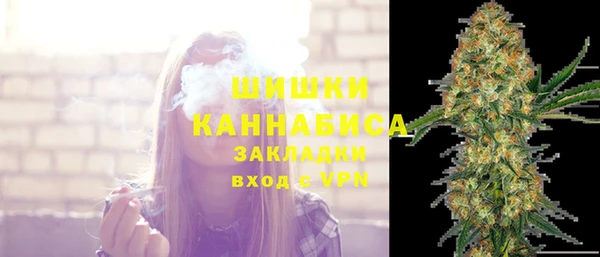 хмурый Ветлуга