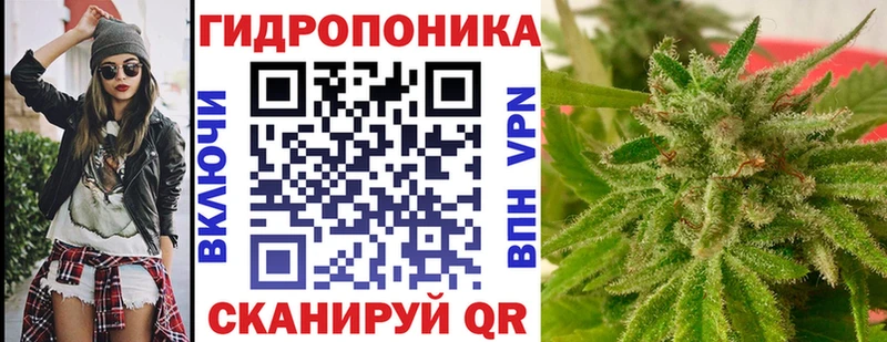 Каннабис сатива  продажа наркотиков  Гусиноозёрск 